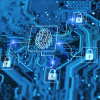 How to Protect Your Organization From Callback Phishing