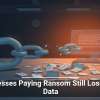 Businesses Paying Ransom Still Lose Their Data